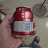 百威啤酒mini红罐淡色拉格255ml*12小罐整箱装京东自营喜酒中秋送礼 实拍图