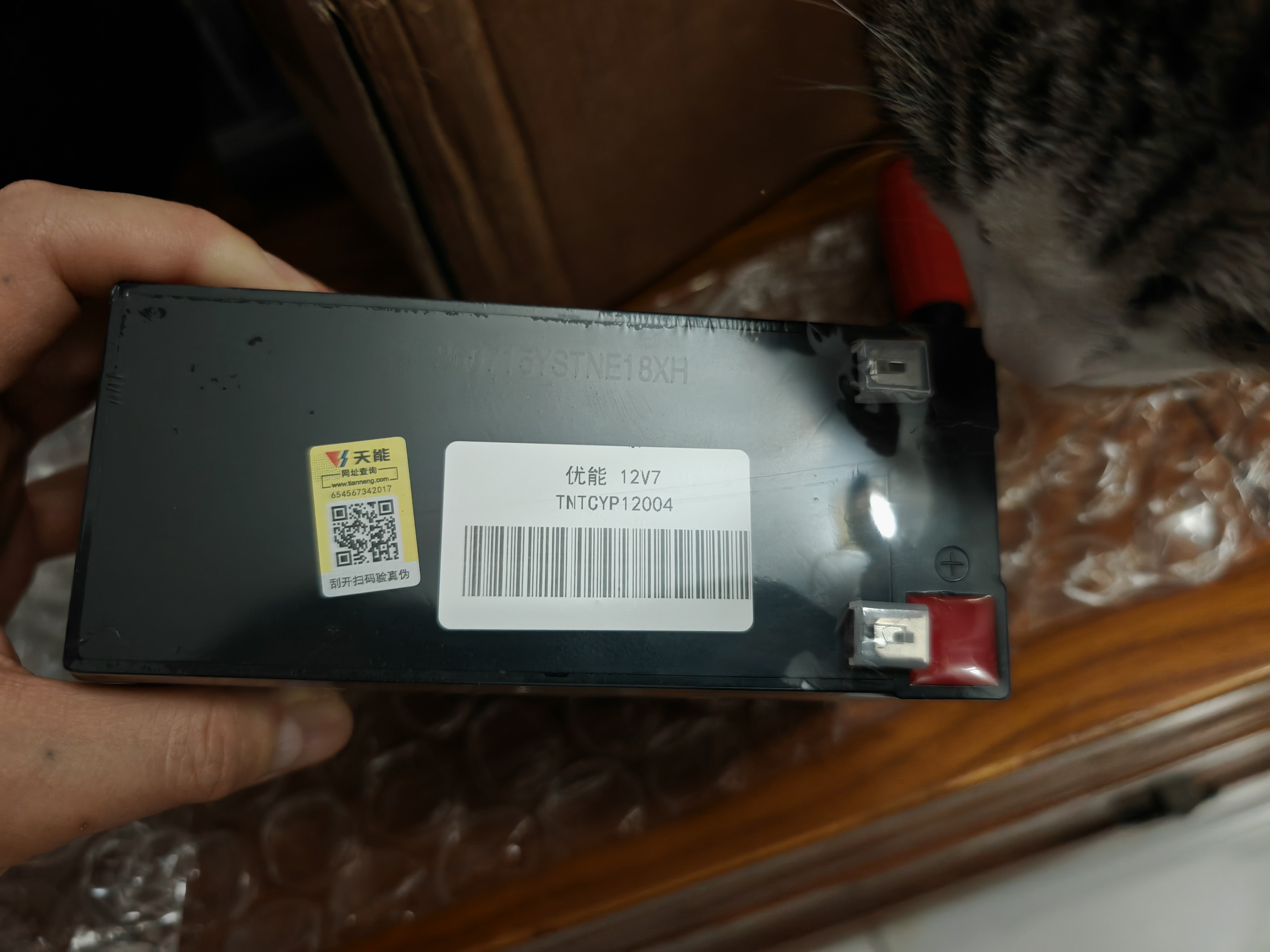 天能儿童电动车电瓶12V7AH消防UPS应急电动喷雾器12V8AH9AH电梯蓄电池 实拍图