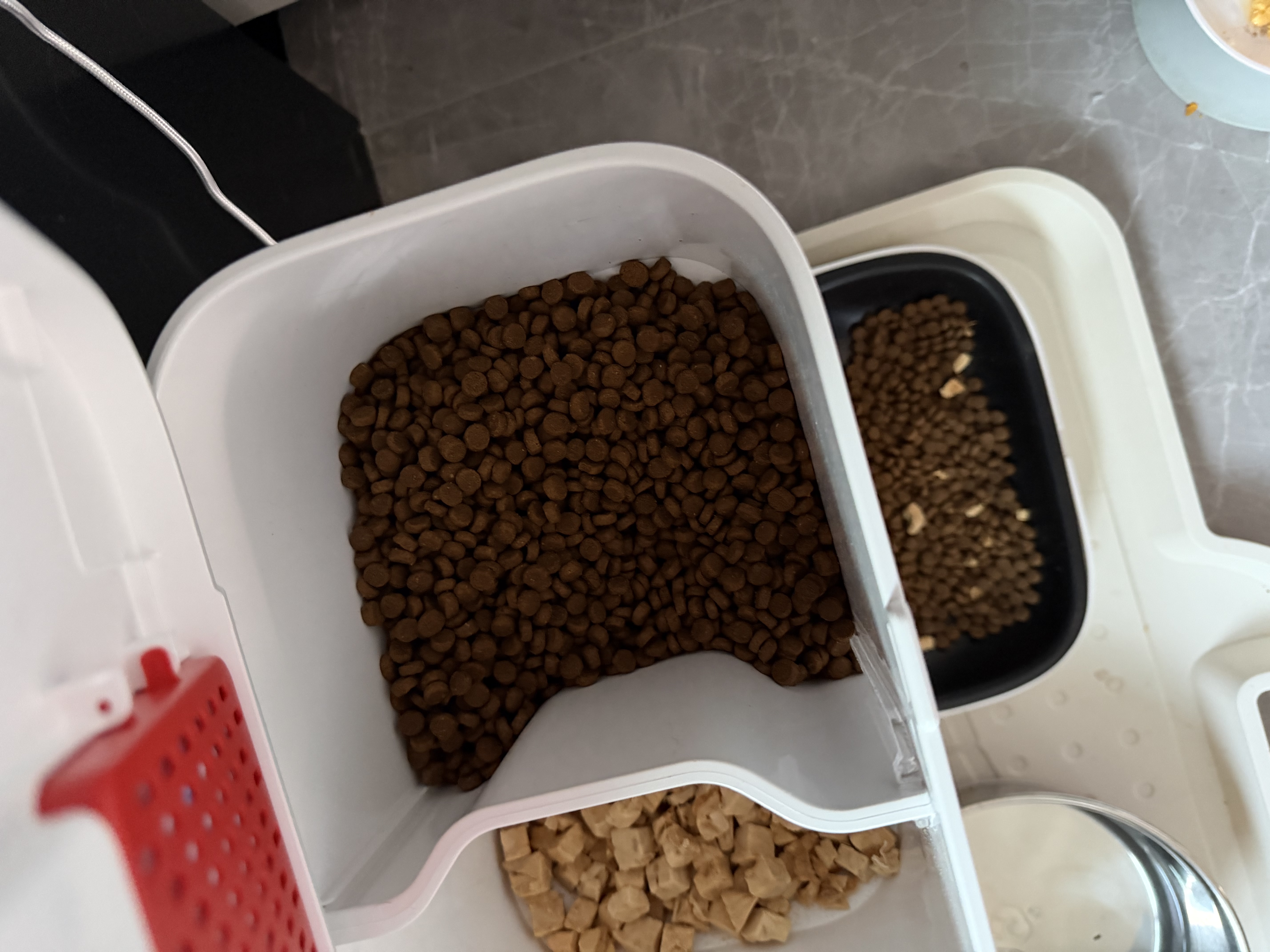 素力高（SolidGold）猫粮美毛进口高蛋白鳕鱼鱼油猫粮12磅/5.44kg 实拍图