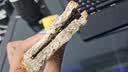 碧翠园全麦面包0蔗糖黑麦吐司1000g粗粮面包早餐健身代餐食品零 实拍图