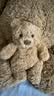 Jellycat巴塞罗熊动物毛绒玩偶儿童安抚公仔小熊潮玩送礼生日礼物 巴塞罗熊 Tiny 实拍图