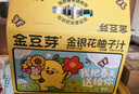 金豆芽金银花苹果汁儿童夏天饮品户外小袋便携分享装100ml*22袋 实拍图