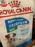 皇家狗粮 幼犬狗粮 宠物 小型犬 MIJ31 全价犬粮 2-10月 2KG 实拍图