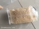 素养生活有机燕麦米1斤 燕麦仁 保留胚芽 燕麦米煮粥 五谷杂粮 粗粮 实拍图