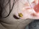 中国黄金（CHINA GOLD）黄金耳钉女士999足金雪花耳钉一对生日中秋节礼物送女朋友老婆 【京速达】足金耳钉约1.2g【甄选礼盒】 实拍图