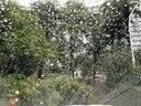 SOFT99经典耐久雨敌日本进口汽车玻璃防雨剂玻璃驱水剂后视镜防雨膜75ml 实拍图