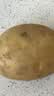 应季新土豆约1kg 实拍图