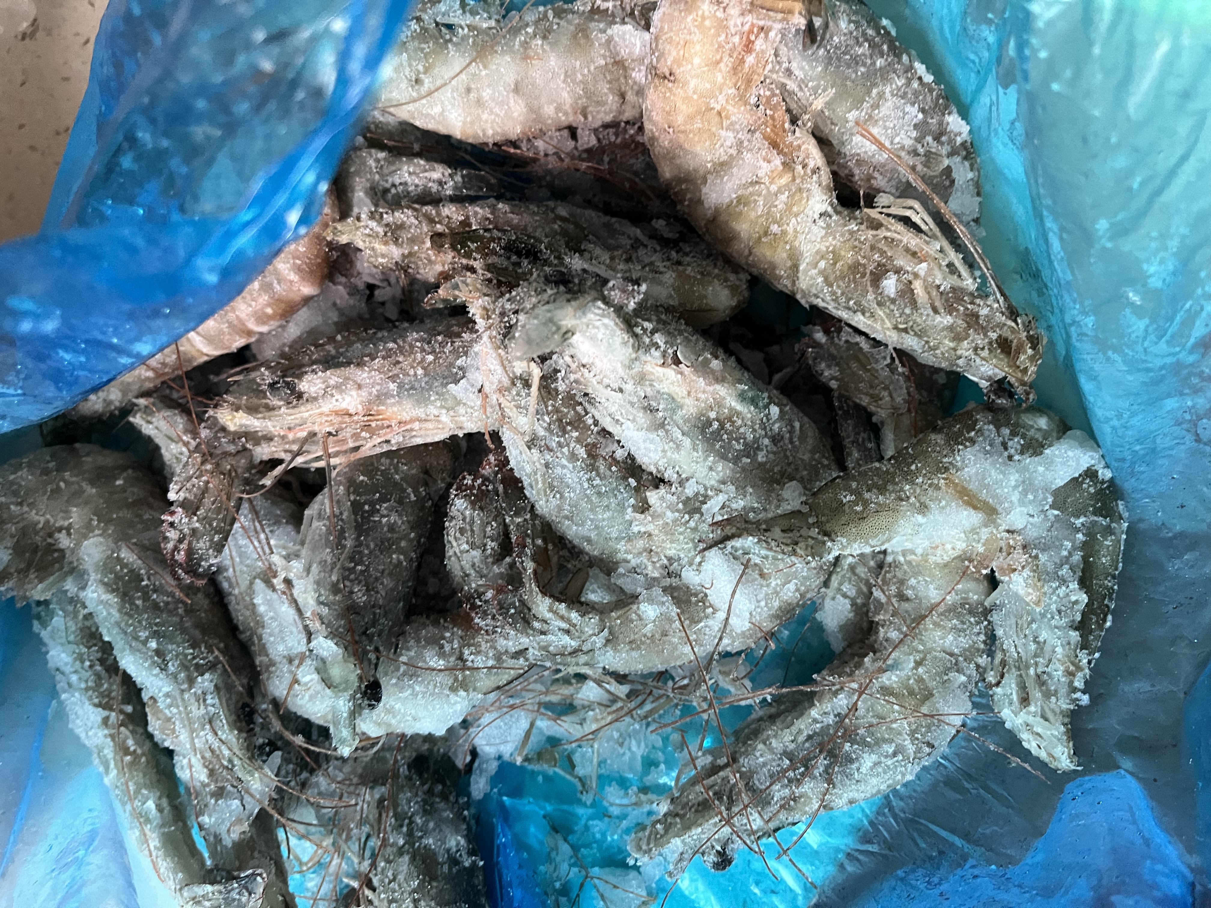 鲜京采 原装进口厄瓜多尔白虾 净重3.3斤 大号30-40规格 50-66只/盒 实拍图