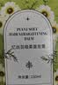 忆丝芸蛋白矫正直发膏免拉家用刘海定型柔顺拉直软化剂烫发水男女250ML 实拍图