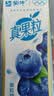 蒙牛真果粒蓝莓味牛奶饮品250g*12盒 新老包装 中秋送礼礼盒 实拍图