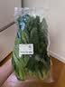 上海青约500g(油菜) 实拍图