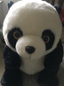 YOUNGDESIGN  仿真大熊猫公仔毛绒玩具熊 抱抱熊猫抱枕玩偶布娃娃 60cm 实拍图