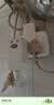 海尔（Haier）出品统帅（Leader）热水器电热水器LC1/LC2家用40升储水式卫生间洗澡小户型租房推荐专利防电墙2.0 50L 2200W 一级能效省电X5 实拍图