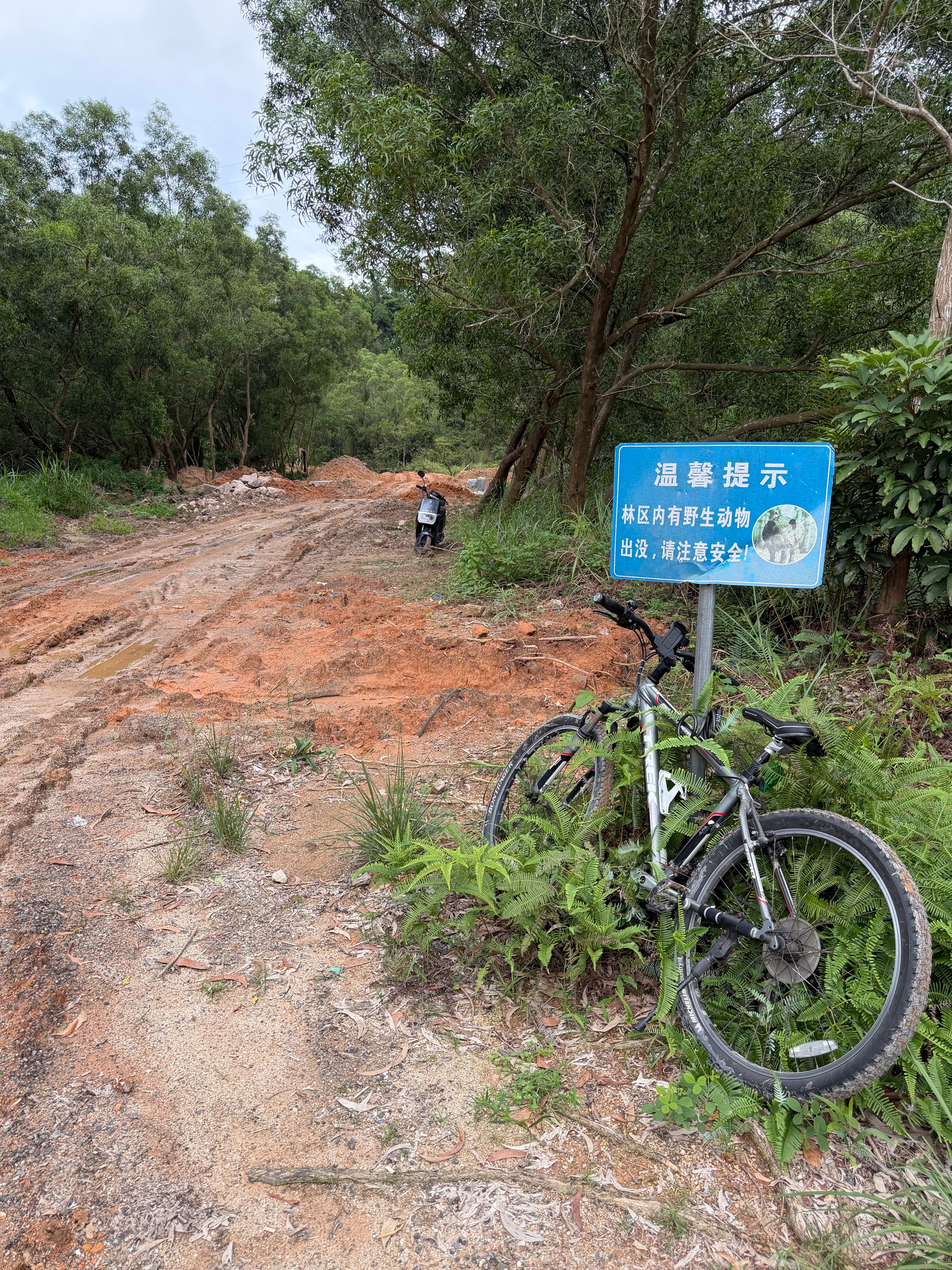 正新自行车内胎 26X1.90/2.125 美嘴33MM 山地越野车户外骑行 实拍图