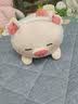 名创优品（MINISO）小猪B-BO草莓猪玩偶毛绒公仔娃娃抱枕靠枕女孩生日礼物玩具送闺蜜 实拍图