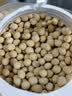 盖亚农场东北有机黄豆1.7斤打豆浆专用农家自种非转基因大金豆 实拍图