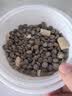 LEGENDSANDY蓝氏狗粮真鲜乳鸽中小型犬泰迪比熊生骨肉冻干鲜肉犬粮1.5kg3斤 实拍图