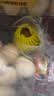 佳沛（zespri）新西兰阳光金奇异果6粒装88-103g猕猴桃水果中秋节礼品送水果礼盒 实拍图