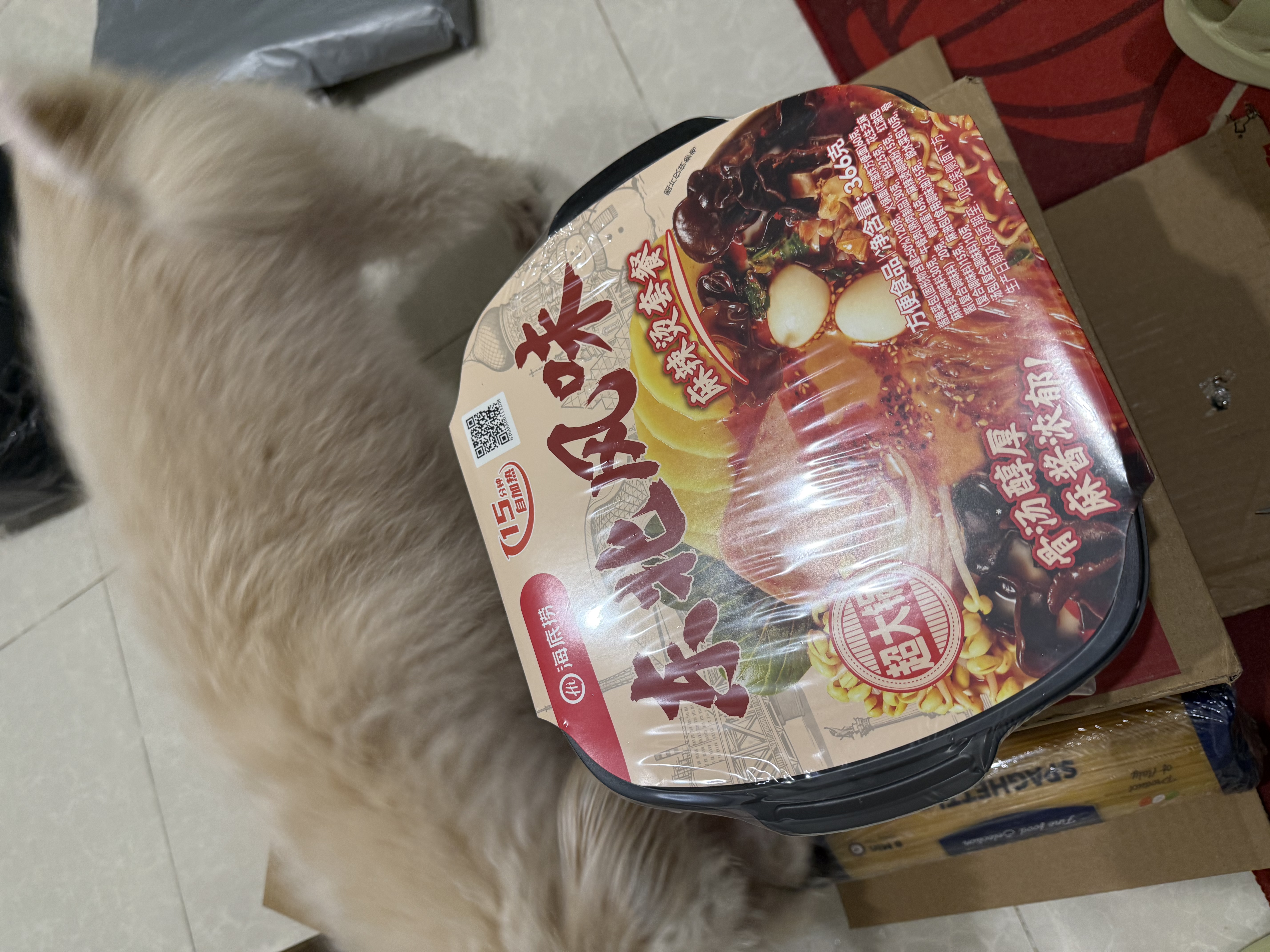 海底捞自热火锅 方便速食分享装 东北风味麻辣烫超大锅366g 实拍图