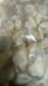 新鲜无沙花甲肉五斤无冰连云港发货蛤蜊肉鲜冻花甲肉贝肉花蛤净重 无沙花甲肉 1000g 实拍图