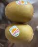 佳沛（zespri）新西兰金奇异果16粒经典果88-103g猕猴桃中秋节礼品送水果礼盒 实拍图