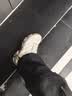 迈乐（Merrell）官方运动户外登山鞋徒步鞋减震MOAB 3男鞋女鞋轻量防滑耐磨透气 J035894白灰米（女） 39 实拍图