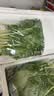 京鲜生云南新鲜羽衣甘蓝净重3.5斤 新鲜蔬菜 榨汁 健康轻食 源头直发 实拍图