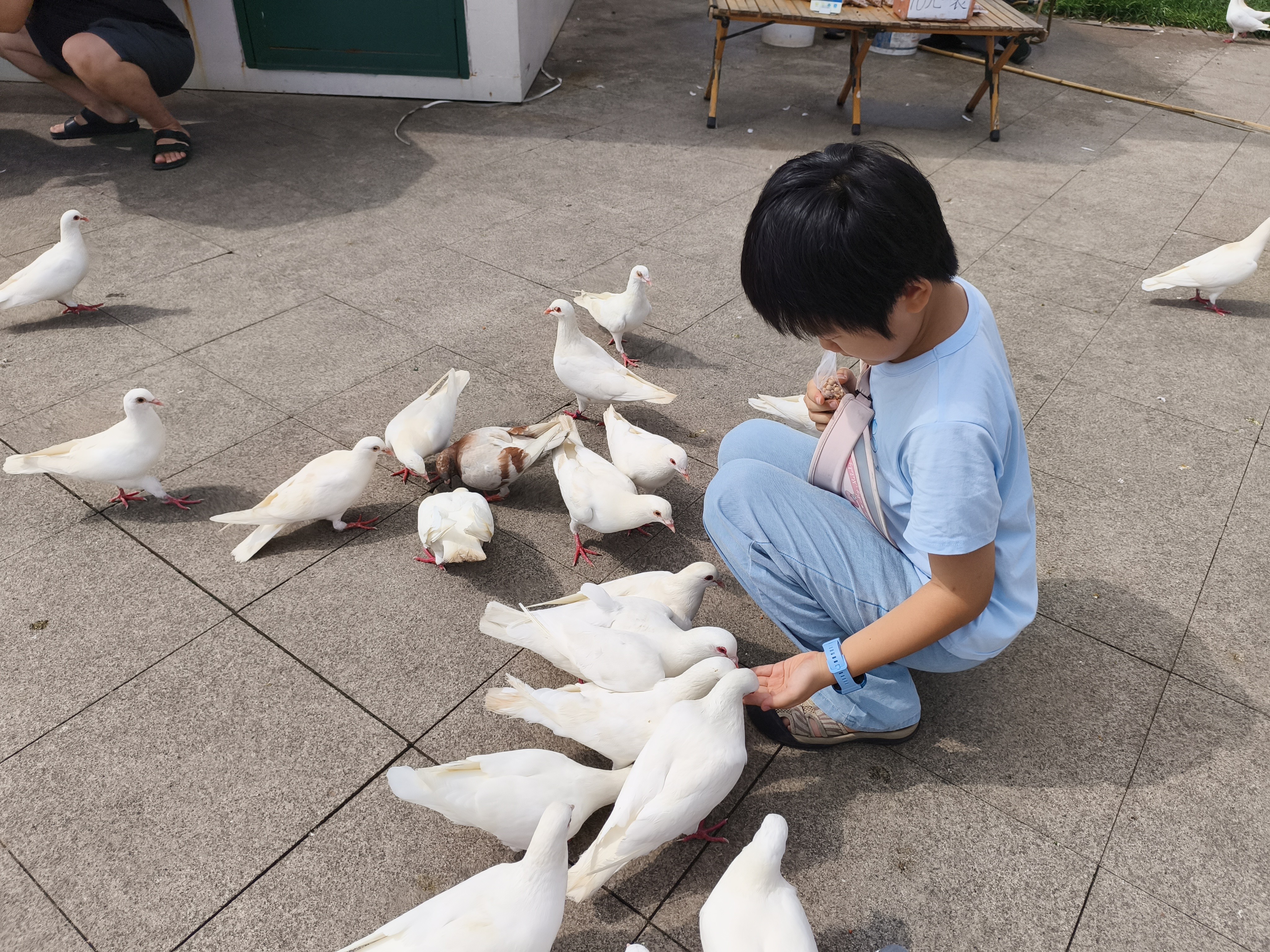 华为（HUAWEI）【六一儿童节礼物】儿童手表 5 海岛蓝 智能手表 离线定位 畅连通话 快充大电池 防沉迷设置 实拍图