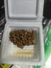 喜代美山大纳豆40g*16盒 日本原装进口北海道极小粒 纳豆即食激酶发酵菌 实拍图
