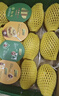 佳沛（zespri）新西兰 阳光金奇异果12粒特大果单果124-146g 猕猴桃水果礼盒 实拍图