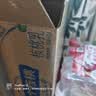 养元六个核桃智汇养生型180ml*24罐量贩实惠核桃乳饮料 中秋送礼 实拍图