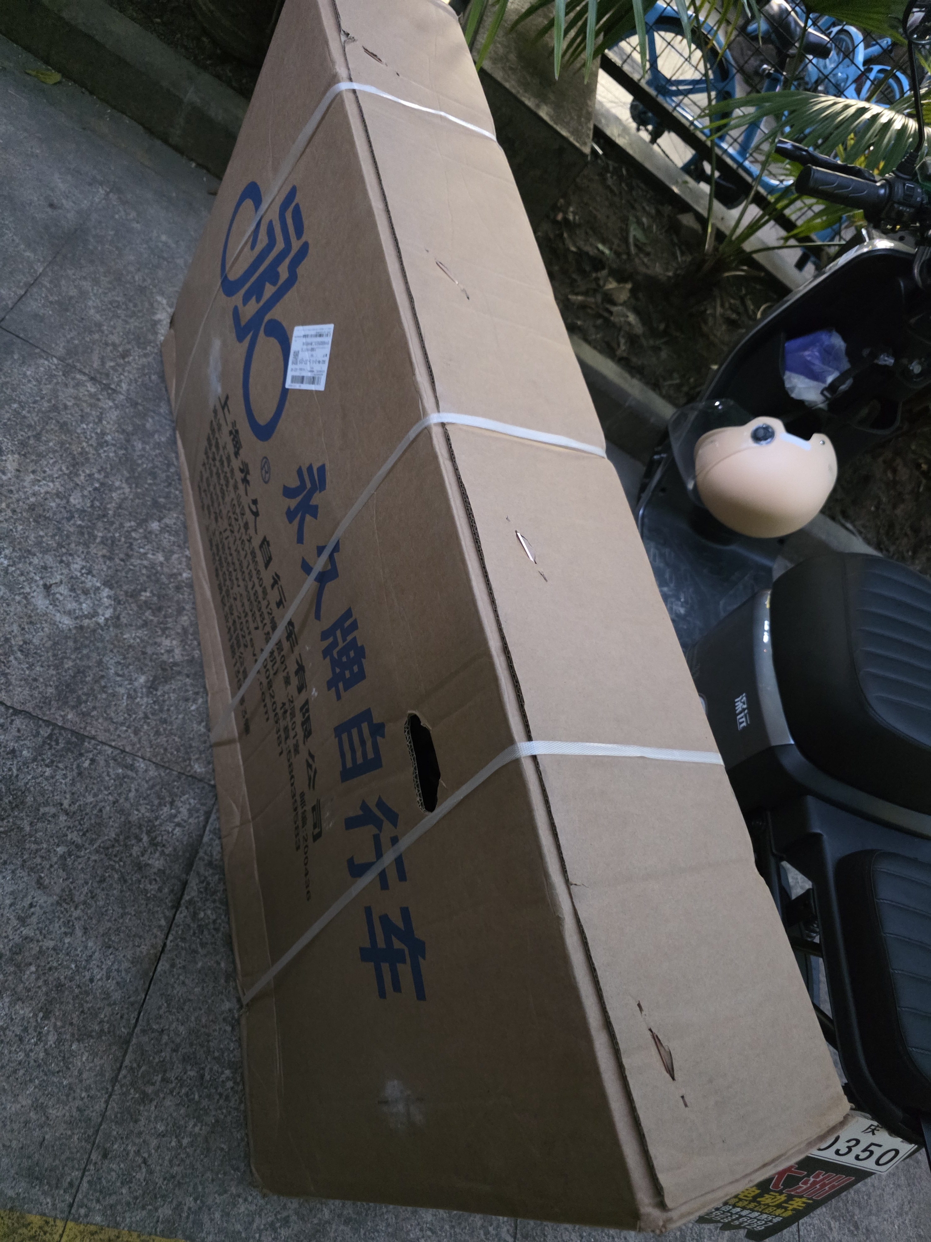 永久铝合金山地自行车24变速26吋油碟刹男女式成年人学生城市单车 灰 实拍图