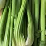 【瘦身减脂】山东大西芹水果西芹去叶新鲜蔬菜新鲜榨汁 净重5斤 实拍图