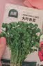北蔬 各种蔬菜种子大全四季可种菜籽秋季菠菜小白菜香菜小葱阳台 实拍图