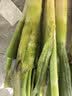 大葱约1kg 实拍图