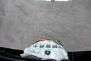 漫生活50L进口营养土通用型 泥炭土养花土种菜土园艺种植土花卉有机土壤 实拍图