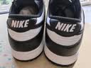 耐克NIKE男休闲板鞋 DUNK 运动鞋HF5441-100黑白43 实拍图