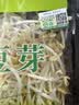 有机绿豆芽200g(原芽整根) 实拍图