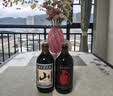 通化山葡萄气泡酒7%vol起泡酒 红酒500ml单瓶葡萄酒果酒微醺果汁 实拍图
