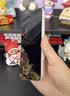 绿联适用苹果17ProMax钢化膜iPhone17ProMax手机膜高清全屏覆盖不挡边防指纹防摔超薄无尘仓秒贴保护膜 实拍图