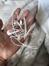 Apple/苹果 EarPods USB-C有线耳机 type-c有线耳机  iPhone 17有线耳机笔记本耳机游戏音乐 实拍图