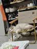 网易严选全价猫粮4.0成幼猫三文鱼亮毛养胃深海鱼虾1.8kg*6袋【宠物金选】 实拍图