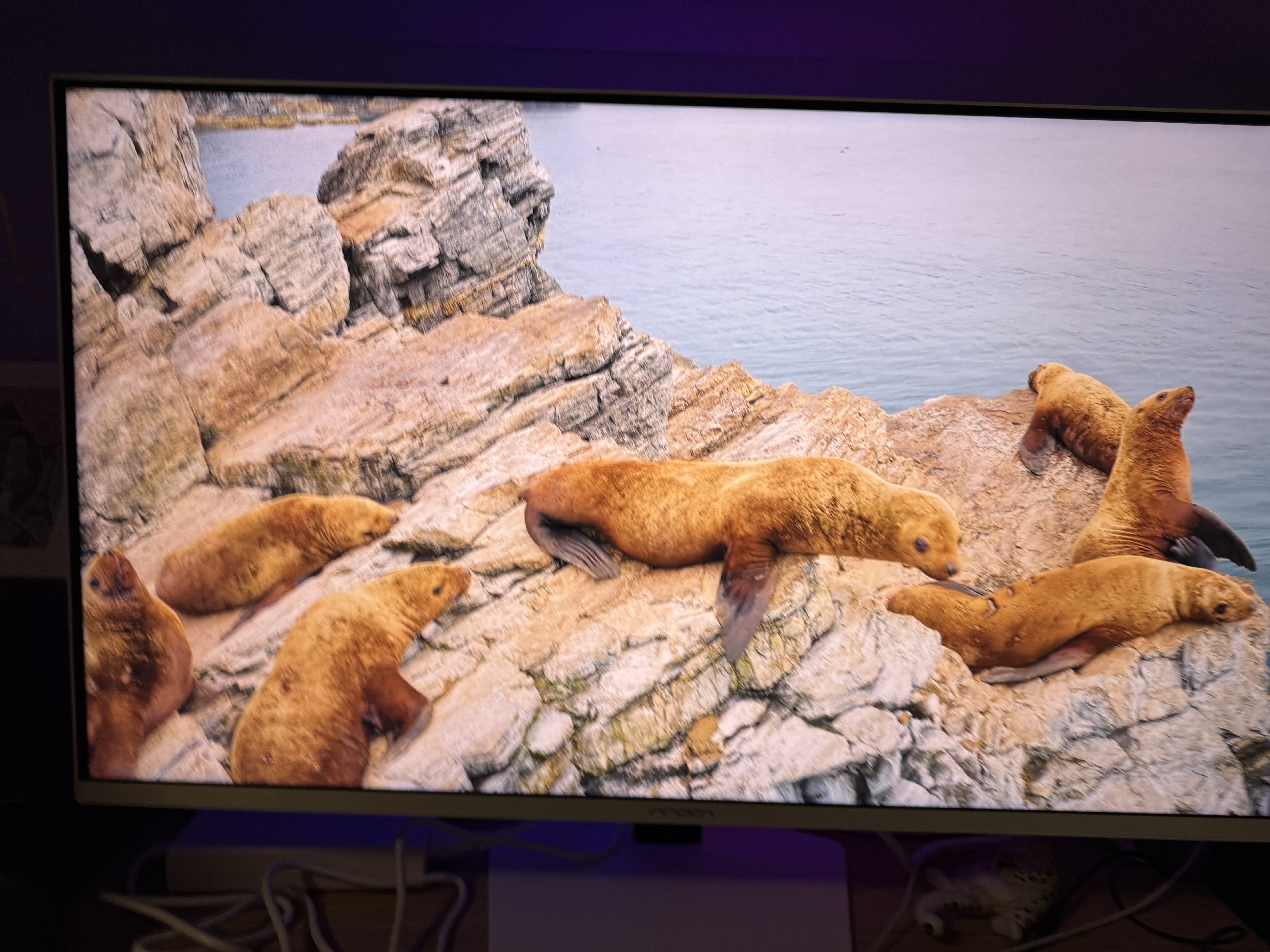 联合创新32吋4K双模320Hz miniled显示器防眩光视网膜镜面屏mac mini外接电竞游戏办公电脑GA32V1M MAX 实拍图