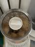 小熊（Bear）养生壶 煮茶壶 恒温水壶 智能保温烧水一体电热水壶花茶壶 316L不锈钢母婴用 1.5L YSH-J15H8 实拍图