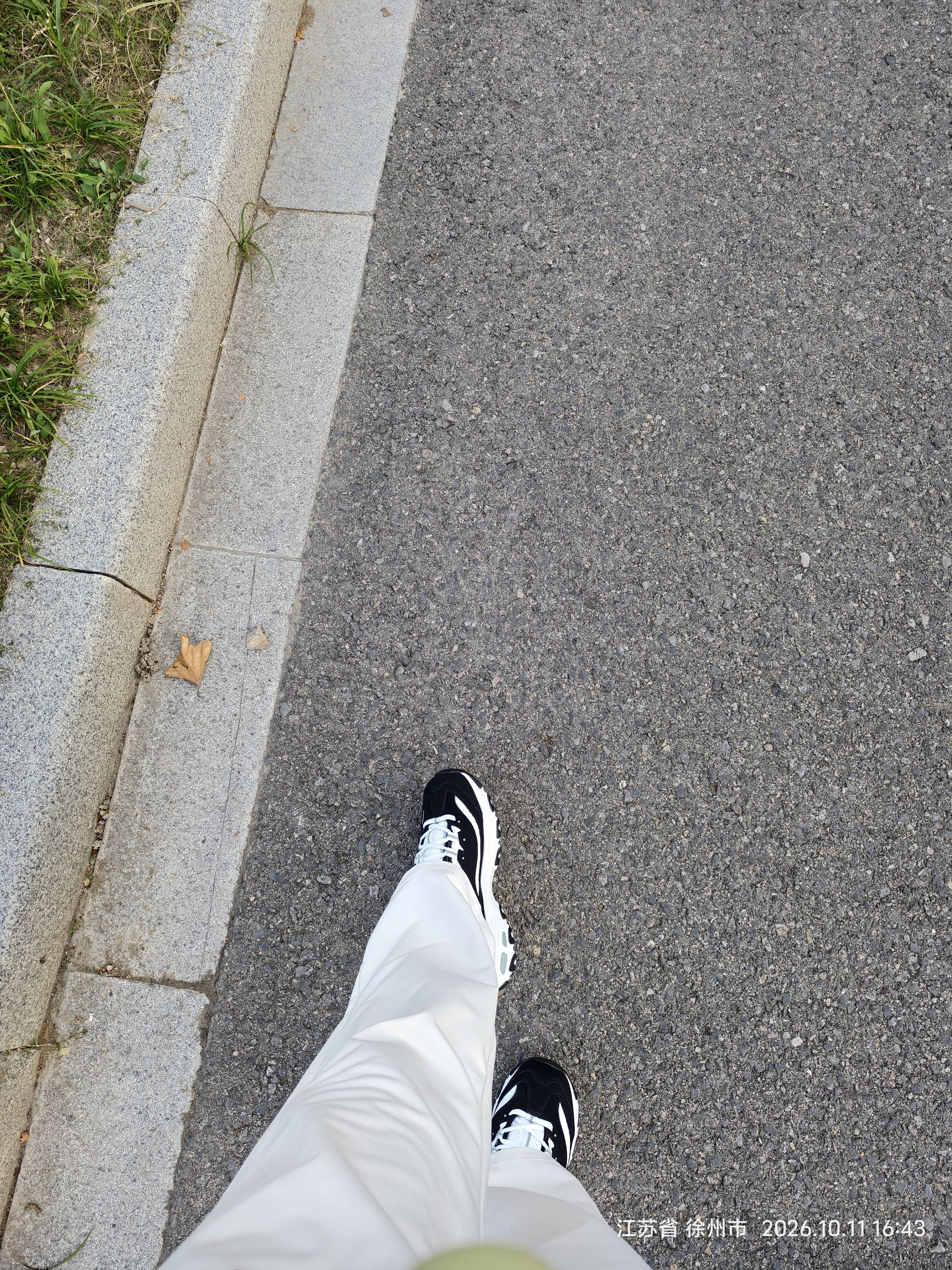 斯凯奇（Skechers）蕾丝熊老爹鞋女鞋秋季厚底增高熊猫鞋减震休闲运动鞋11959 实拍图
