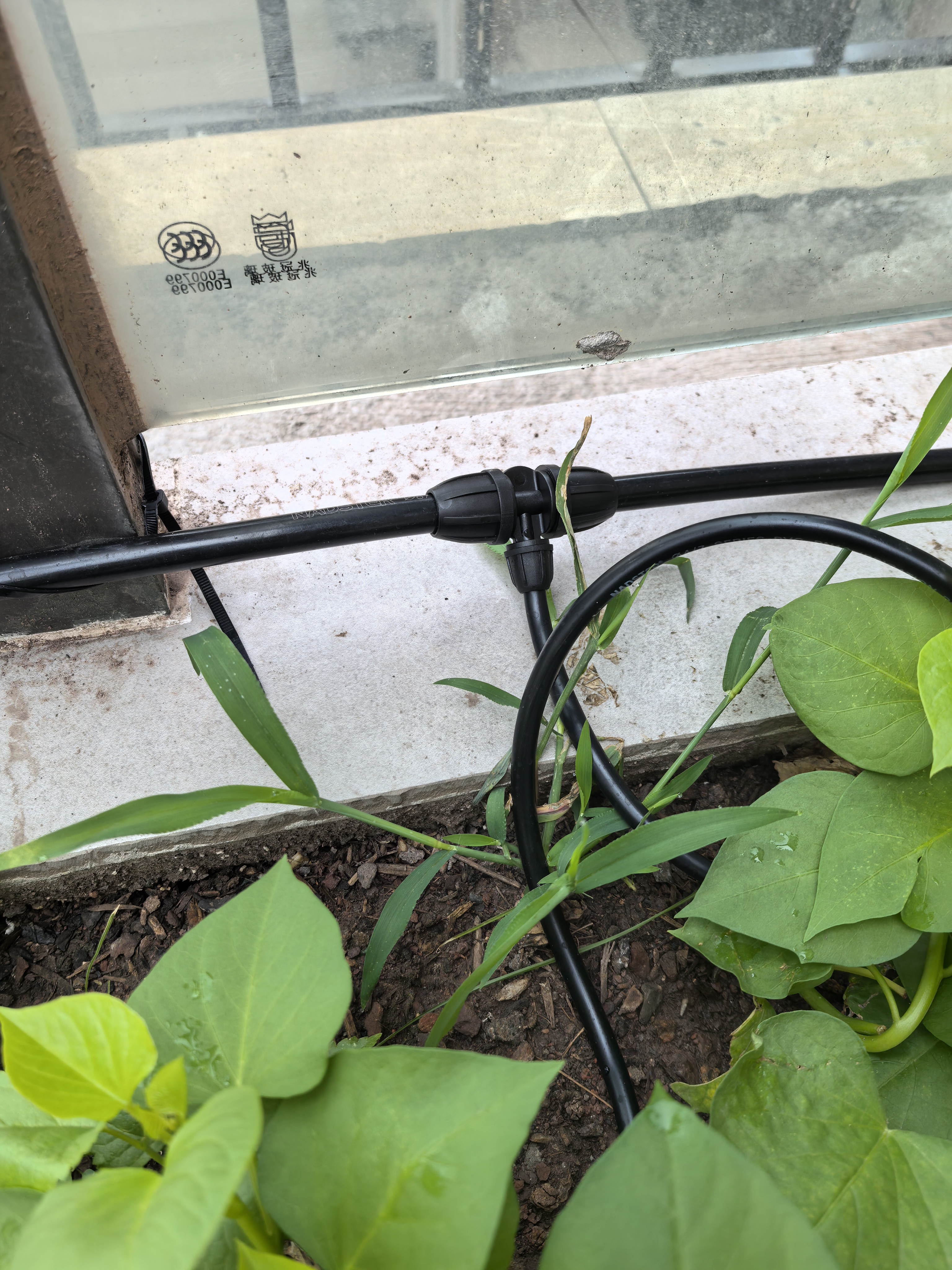 耐德斯特中文大屏自动浇花器定时浇水神器智能灌溉控制器+两用喷头20组 实拍图