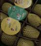 佳沛（zespri）新西兰金奇异果10粒巨大果146-175g猕猴桃中秋节礼品送水果礼盒 实拍图