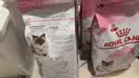 皇家猫粮 幼猫猫粮 幼猫奶糕 K36 通用粮 4-12月 2KG 实拍图