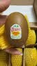 佳沛（zespri）新西兰阳光金奇异果6粒装88-103g猕猴桃水果中秋节礼品送水果礼盒 实拍图