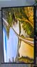 泰坦军团24.5英寸1152分区MiniLED 2K 420Hz HDR1200nits 升级DyDs0.3ms逐台校色PS5电竞显示器P245MS PRO+ 实拍图